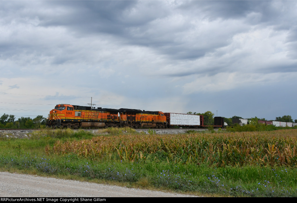 BNSF 5363